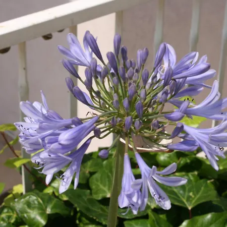 With A Parking Space - 6640 מאקרסקה