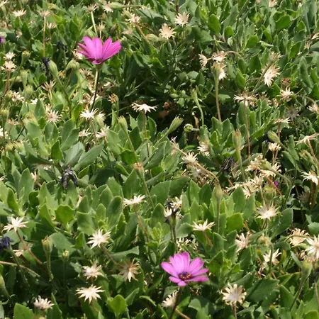 With A Parking Space - 6640 דירה *