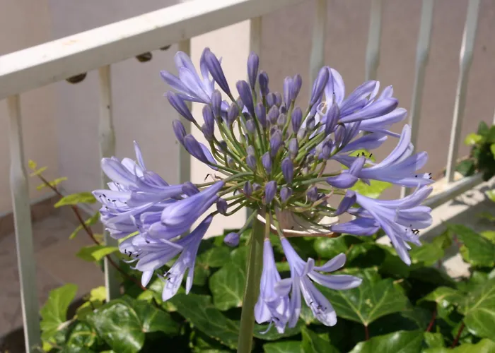 With A Parking Space - 6640 מאקרסקה