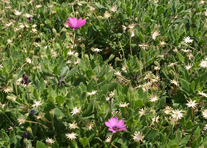 With A Parking Space - 6640 דירה *